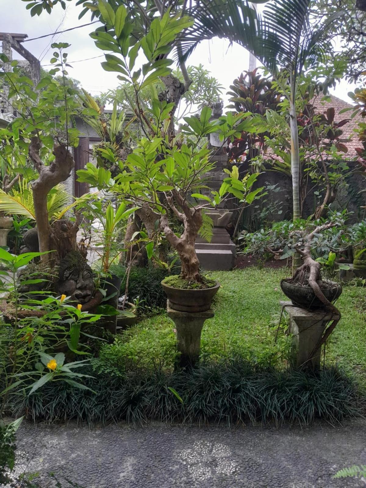 Soka Homestay Ubud Exterior foto